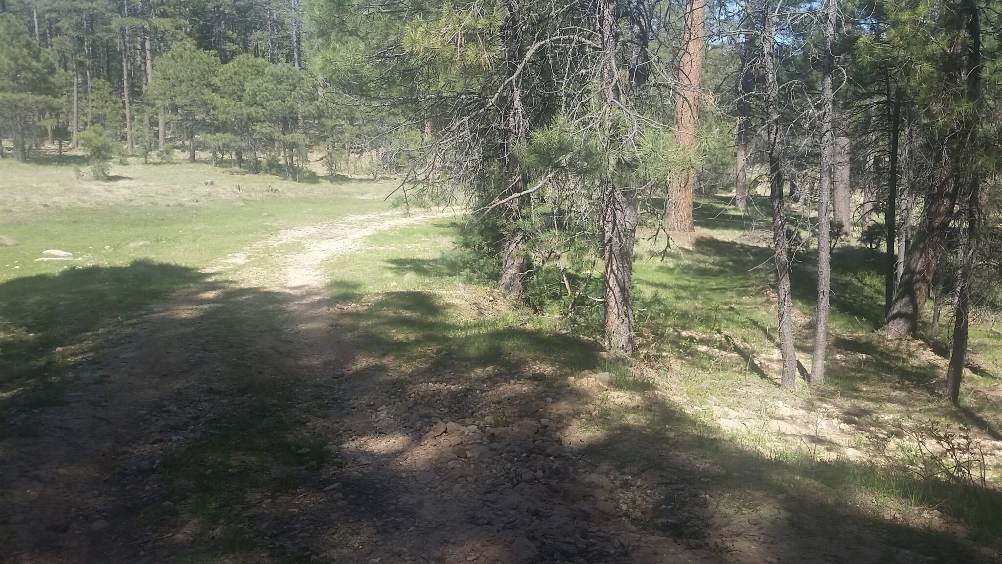 Land and Homes For Sale Property Masters LLC